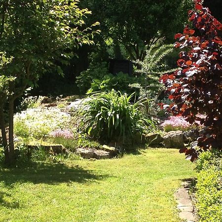 Ferienwohnung Baars Bad Sachsa Zewnętrze zdjęcie